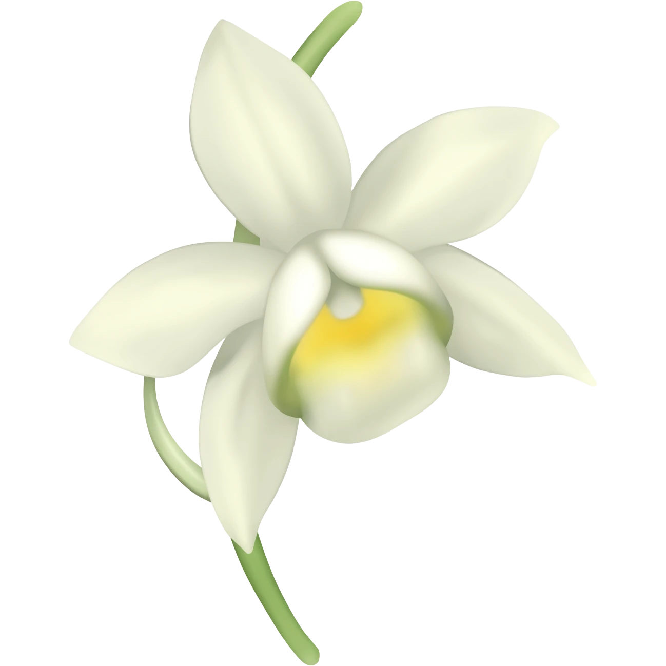 vanilla with the flower emoji