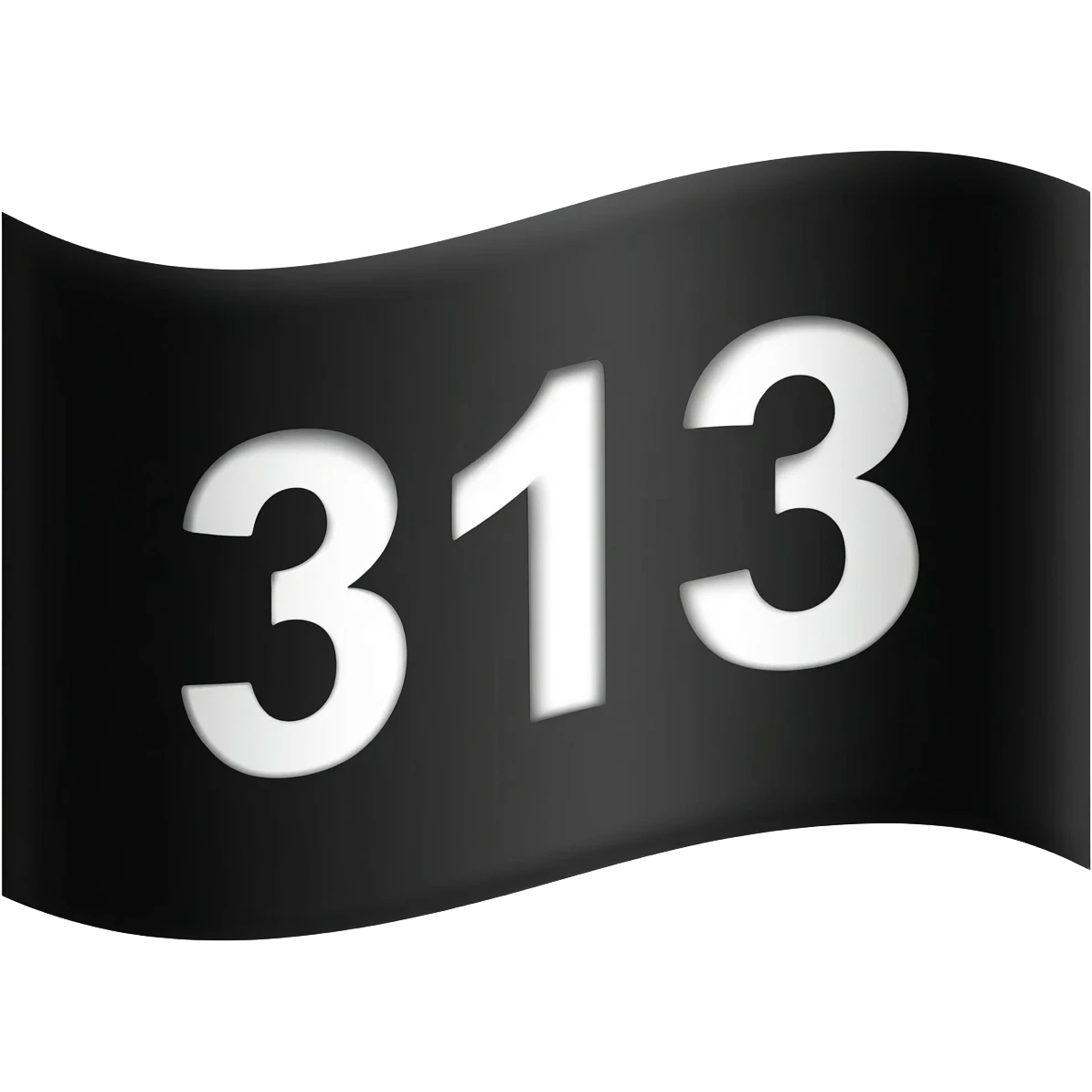 A Black flag and in the middle is 313 written emoji
