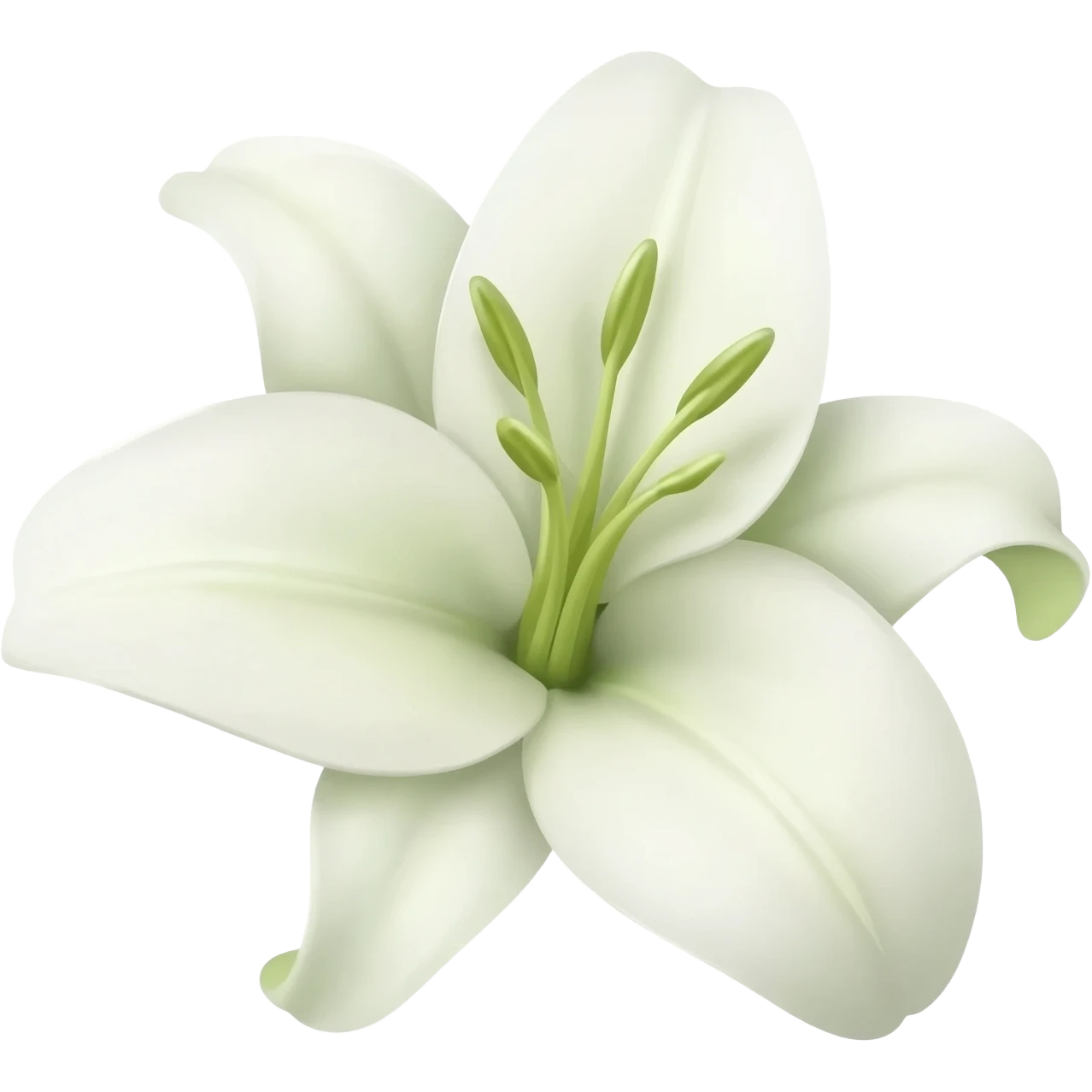 White lily emoji