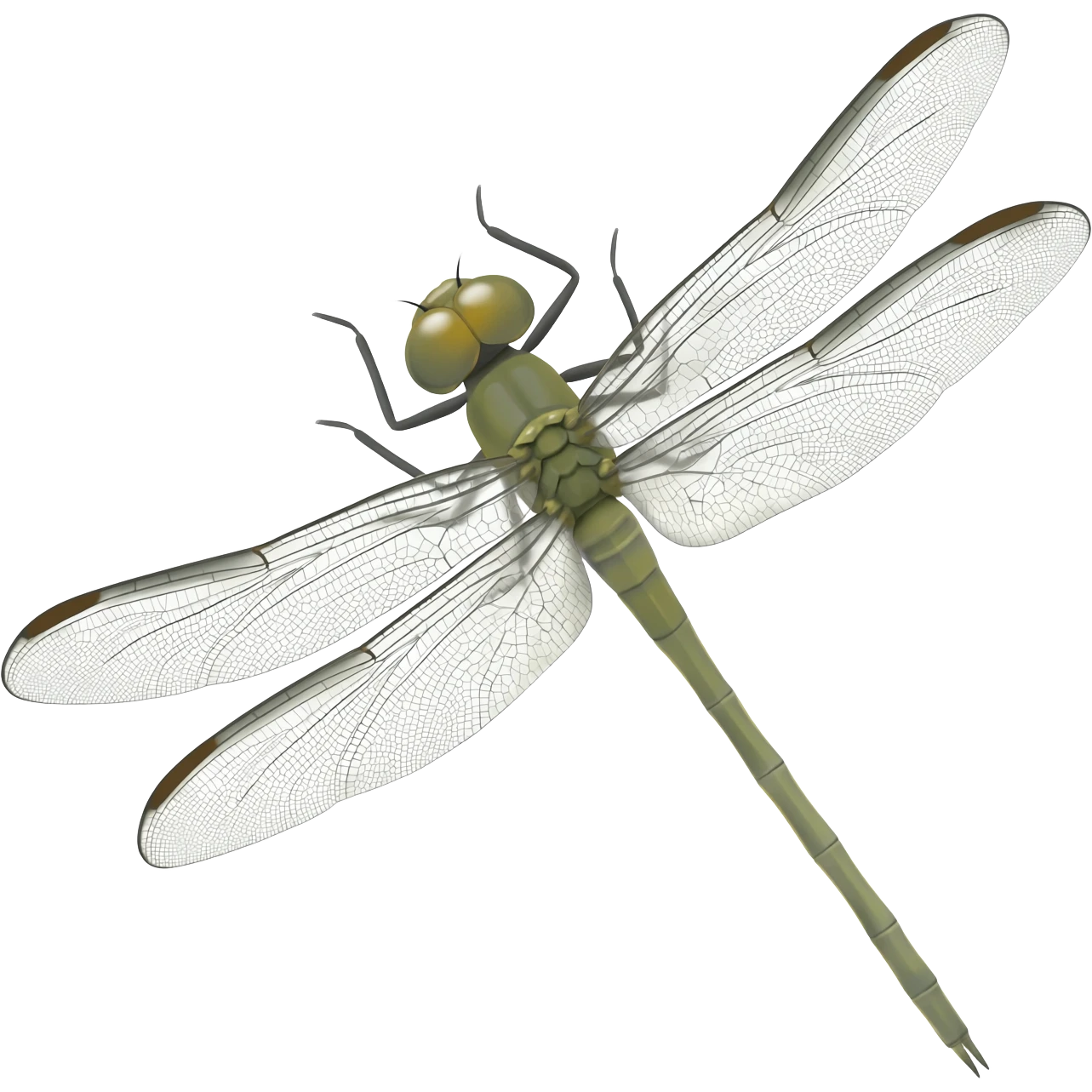 albino dragonfly emoji