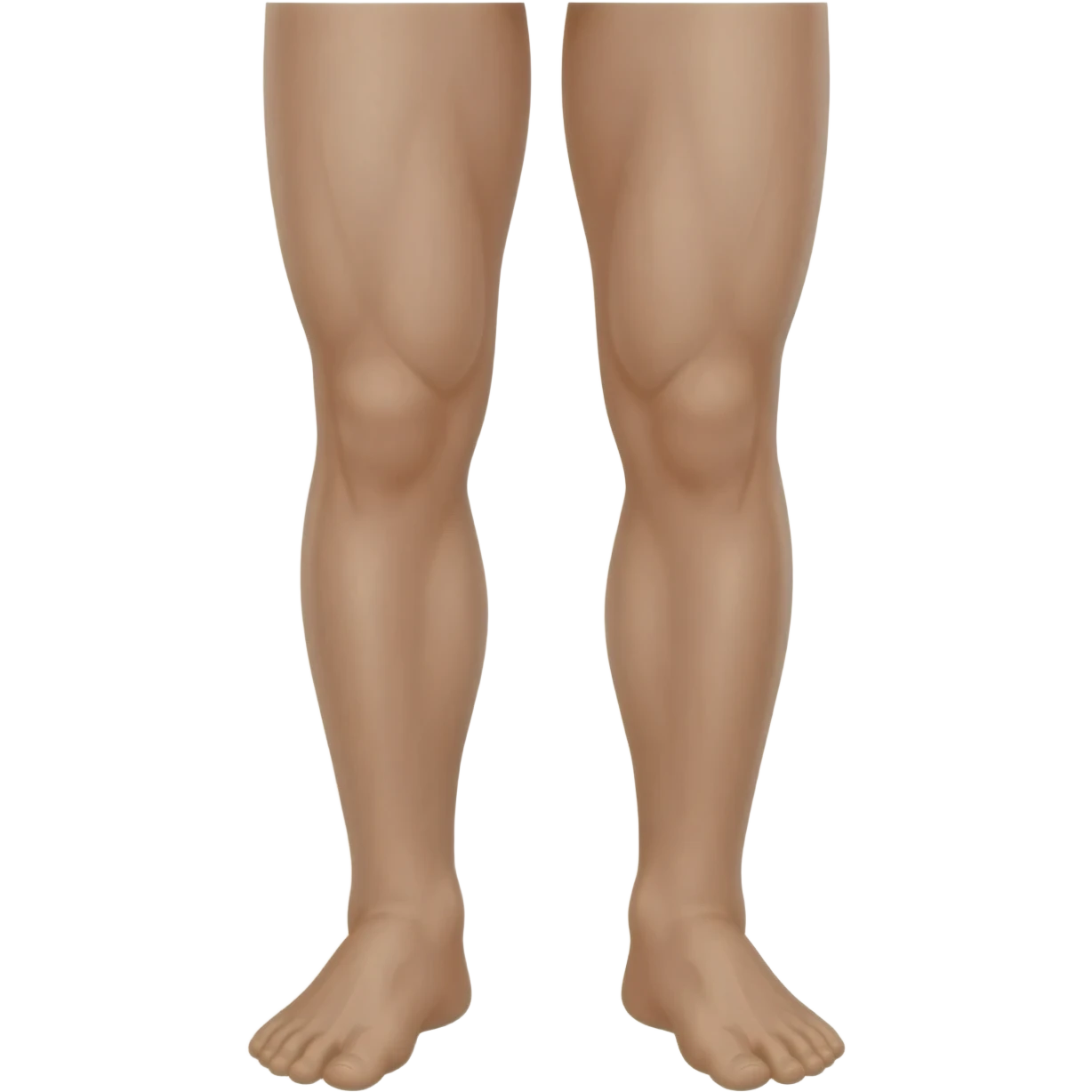 “Educational illustration of human legs, simple anatomical drawing style for children, soft colors, white background, educational cartoon style, showing thighs, knees and calves in a clear and easy to understand way for a children's book.” emoji