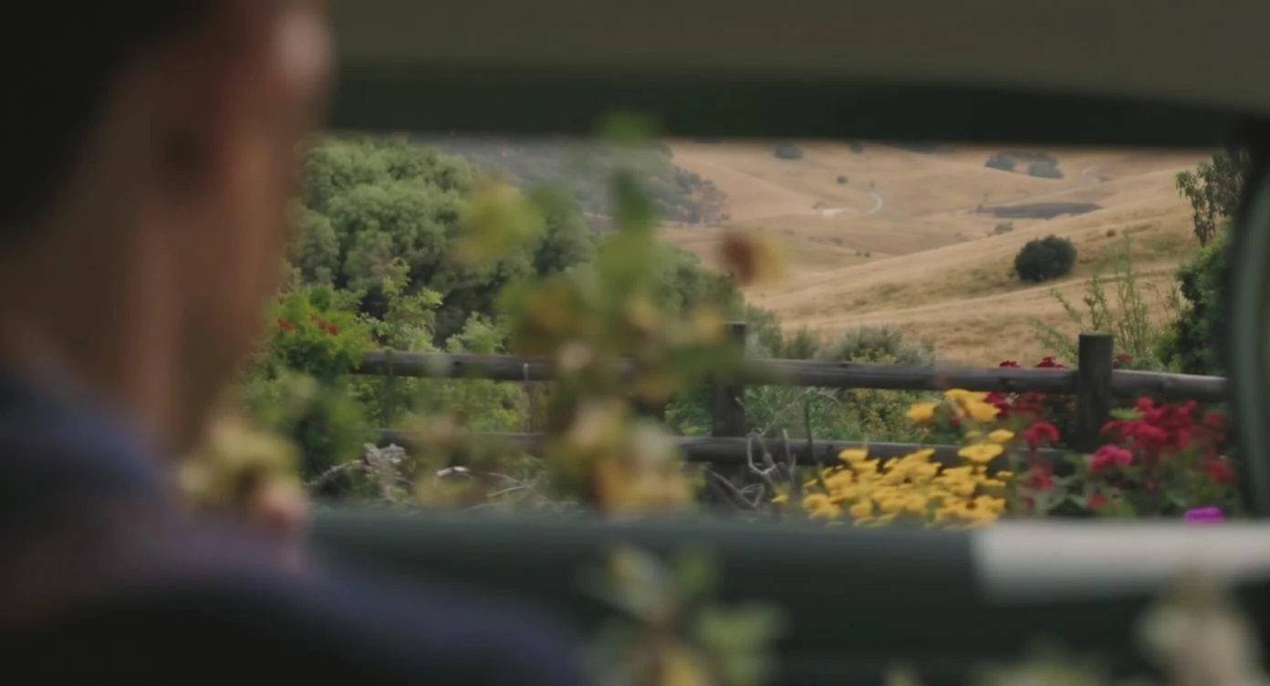 A portrait of a person in the foreground, blurred plants in the foreground (frame within a frame), a wooden fence and colorfull flowers in the midground, rolling hills in the background, cinematic depth of field, layered composition, natural lighting emoji