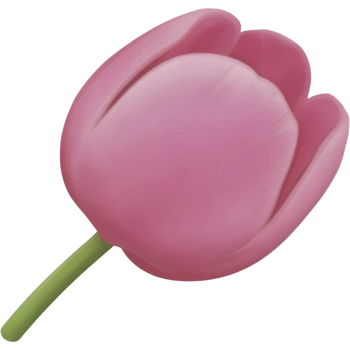 pink tulip with soft glow emoji