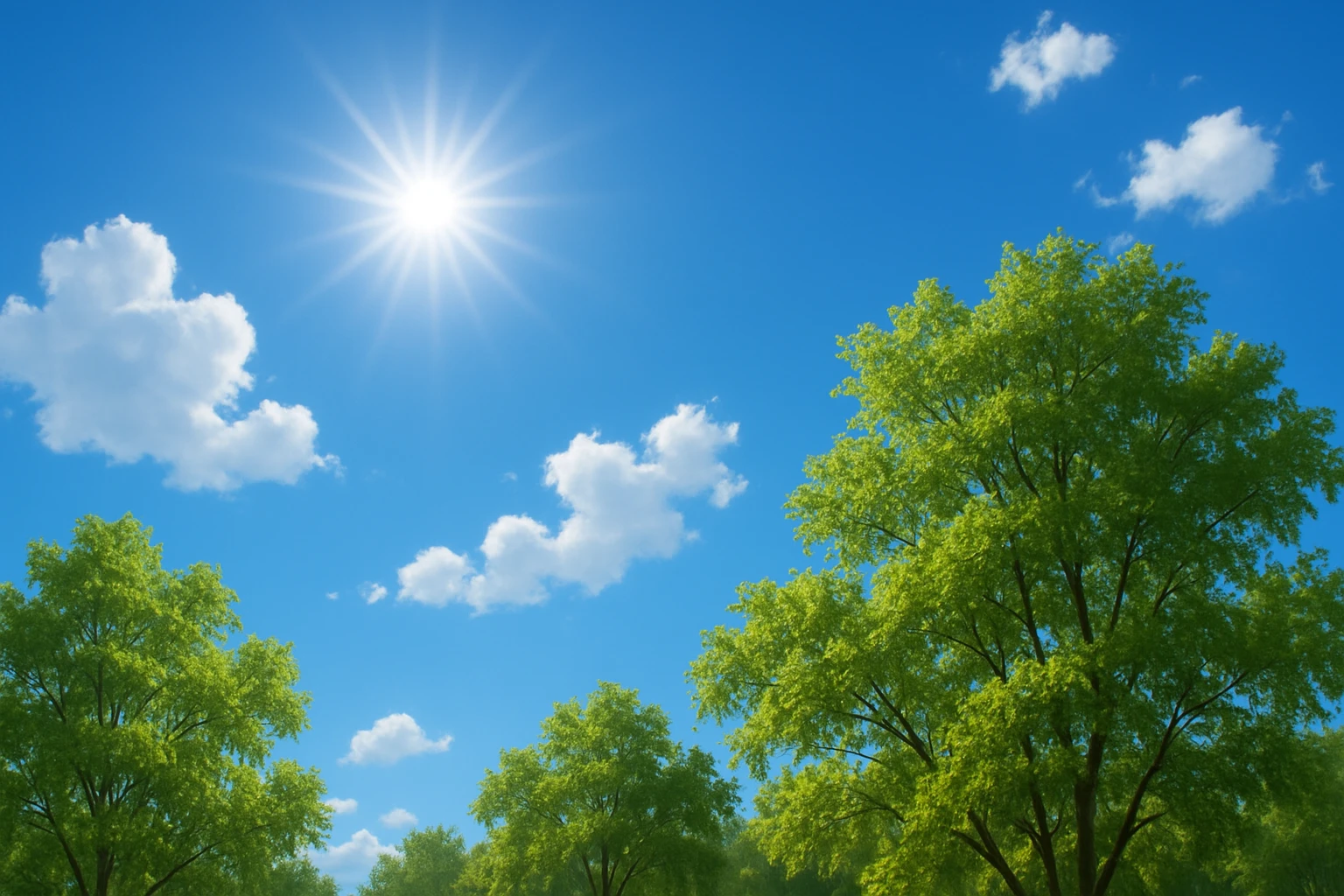 A sunny day with trees, sky, and clouds emoji