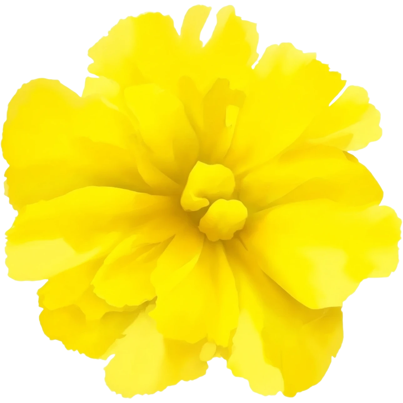 Fiore mimosa emoji
