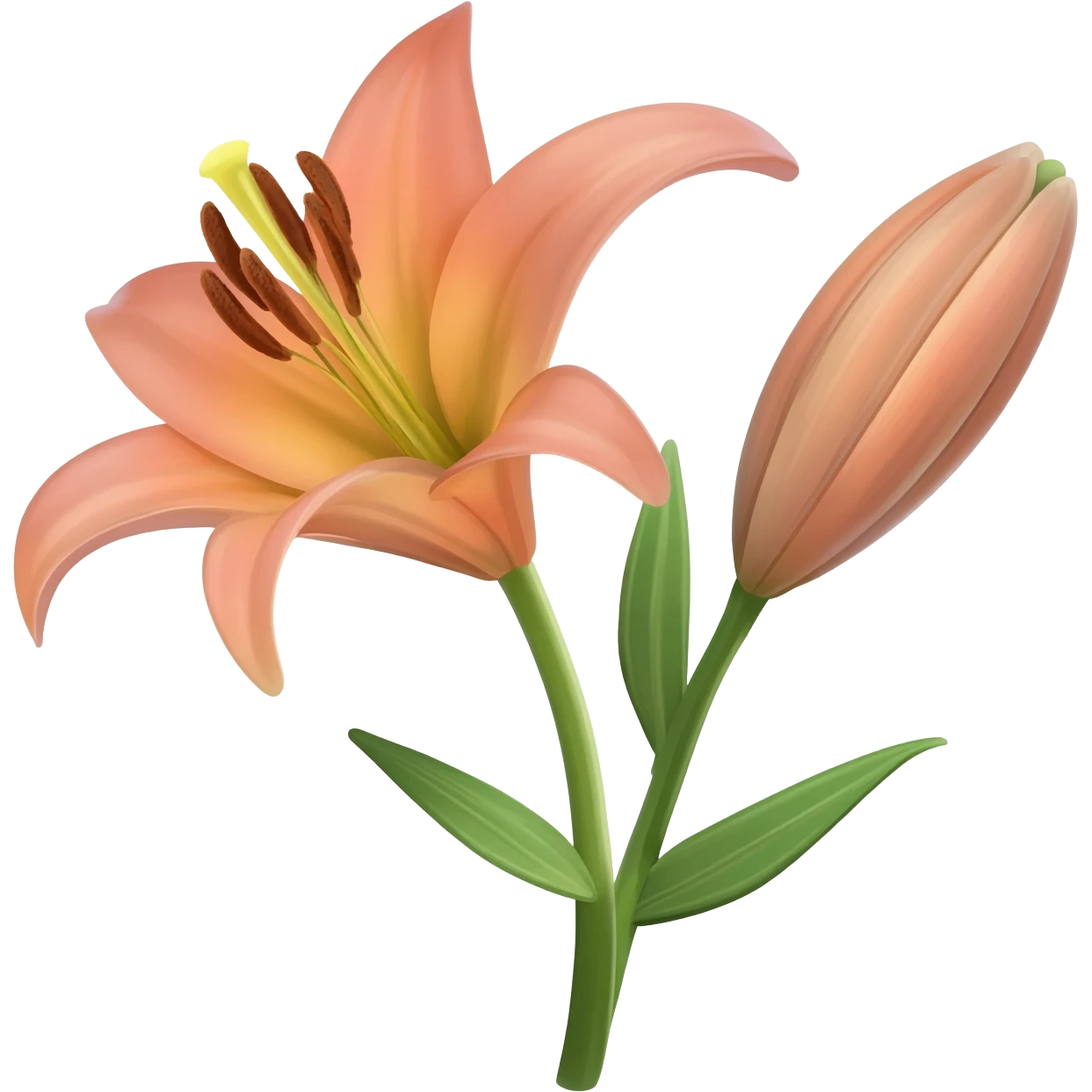Lilies emoji emoji