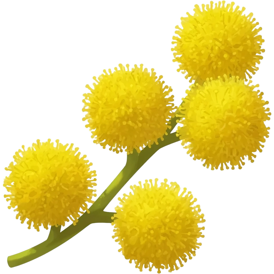 Mimosa emoji