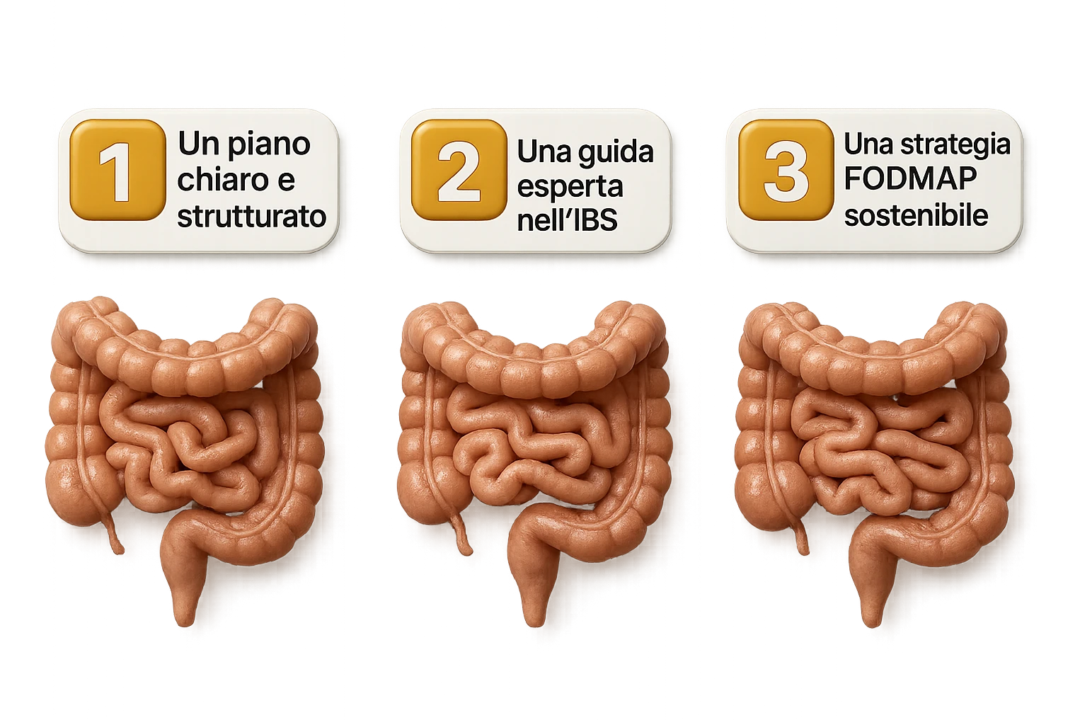 emoji stile iphone di 3 targhette numerate con intestino realistico davanti ad ogni targhetta, le targhette sono:
"1 – Un piano chiaro e strutturato
2 – Una guida esperta nell’IBS
3 – Una strategia FODMAP sostenibile"
, iperrealistico 4k emoji