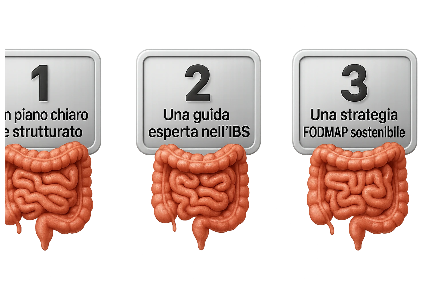 emoji stile iphone di 3 targhette numerate con intestino realistico davanti ad ogni targhetta, le targhette sono:
"1 – Un piano chiaro e strutturato
2 – Una guida esperta nell’IBS
3 – Una strategia FODMAP sostenibile"
, iperrealistico 4k emoji