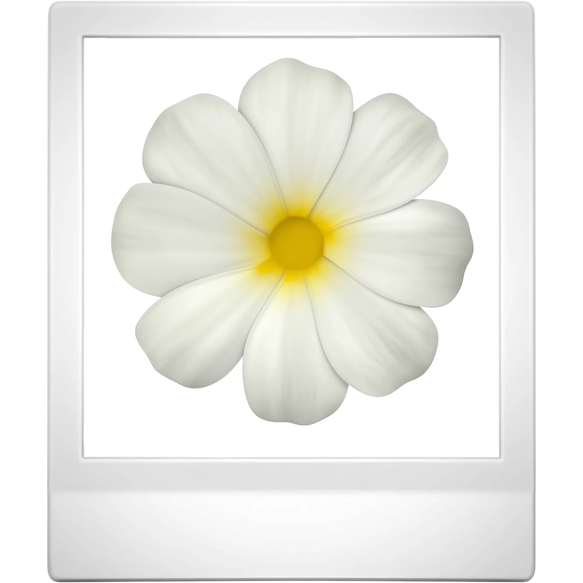 white Polaroid of a flower emoji