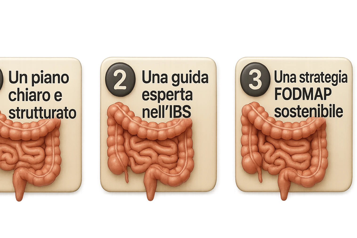 emoji stile iphone di 3 targhette numerate con intestino realistico davanti ad ogni targhetta, le targhette sono:
"1 – Un piano chiaro e strutturato
2 – Una guida esperta nell’IBS
3 – Una strategia FODMAP sostenibile"
, iperrealistico 4k emoji