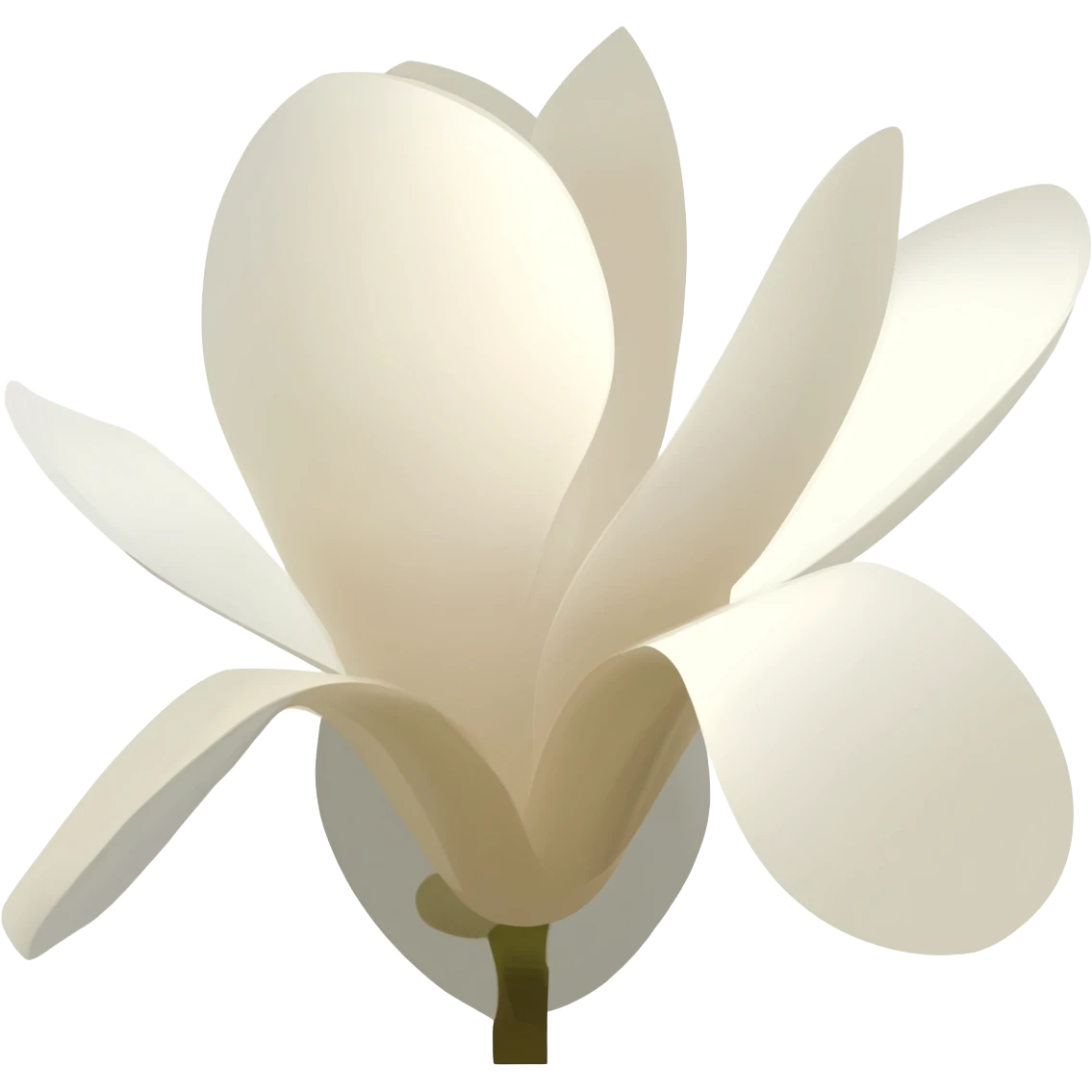 minimalist-magnolia-flower-with-soft-white-and-light-beige-petals-on-a-plain-white-background,-no-extra-details emoji