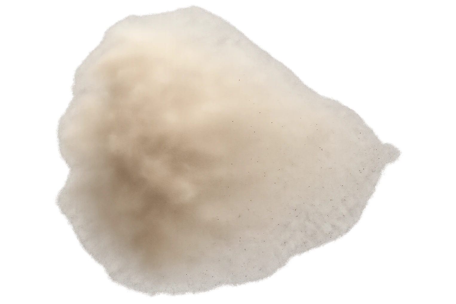 a cloud of dust dispersing, delicate particles, floating away, transparent background emoji