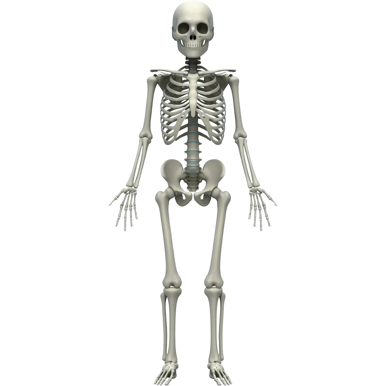 full body skeleton emoji emoji
