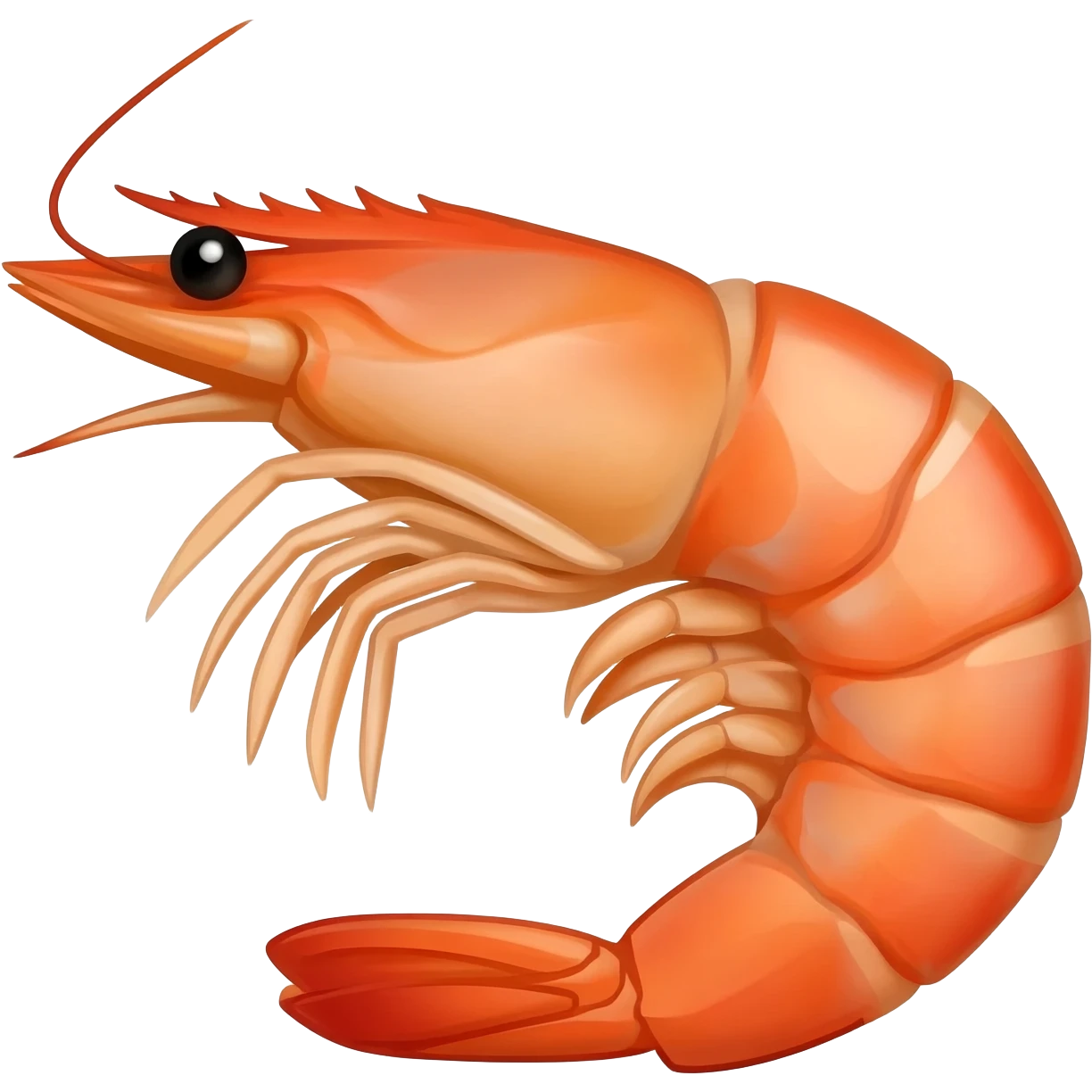 shirimp emoji