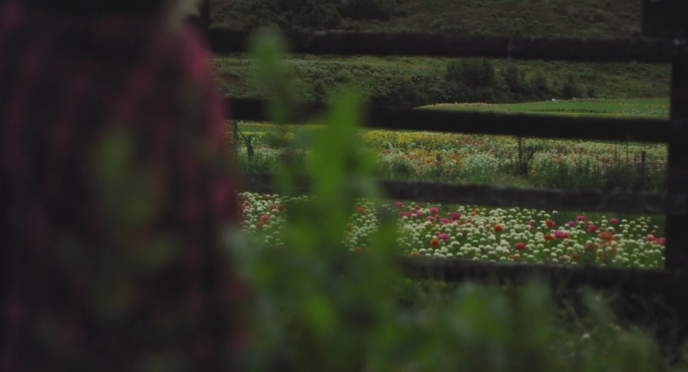 "Two shot" of a person in the foreground, blurred plants in the foreground (frame within a frame), a wooden fence and colorfull flowers in the midground, Poland, rolling hills in the background, cinematic depth of field, layered composition, natural lighting emoji
