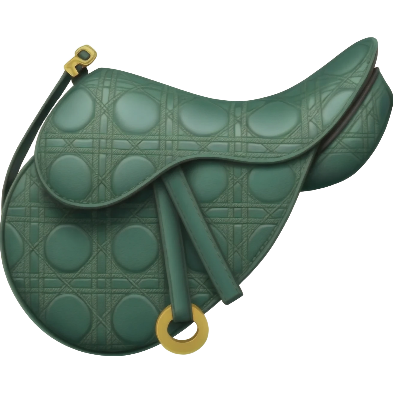 green saddle dior bag emoji