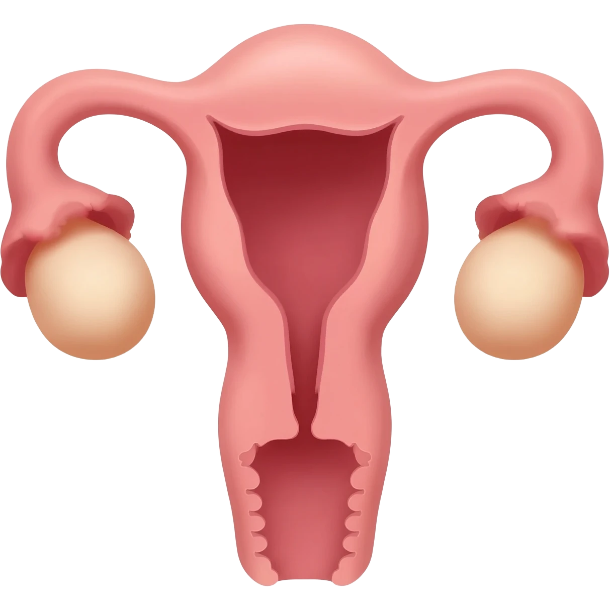 ovary emoji