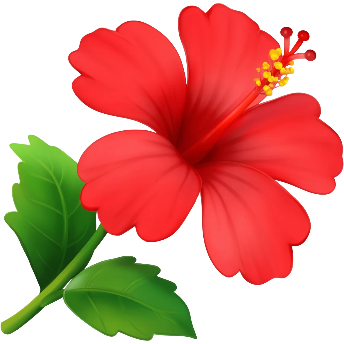 Hibiscus emoji