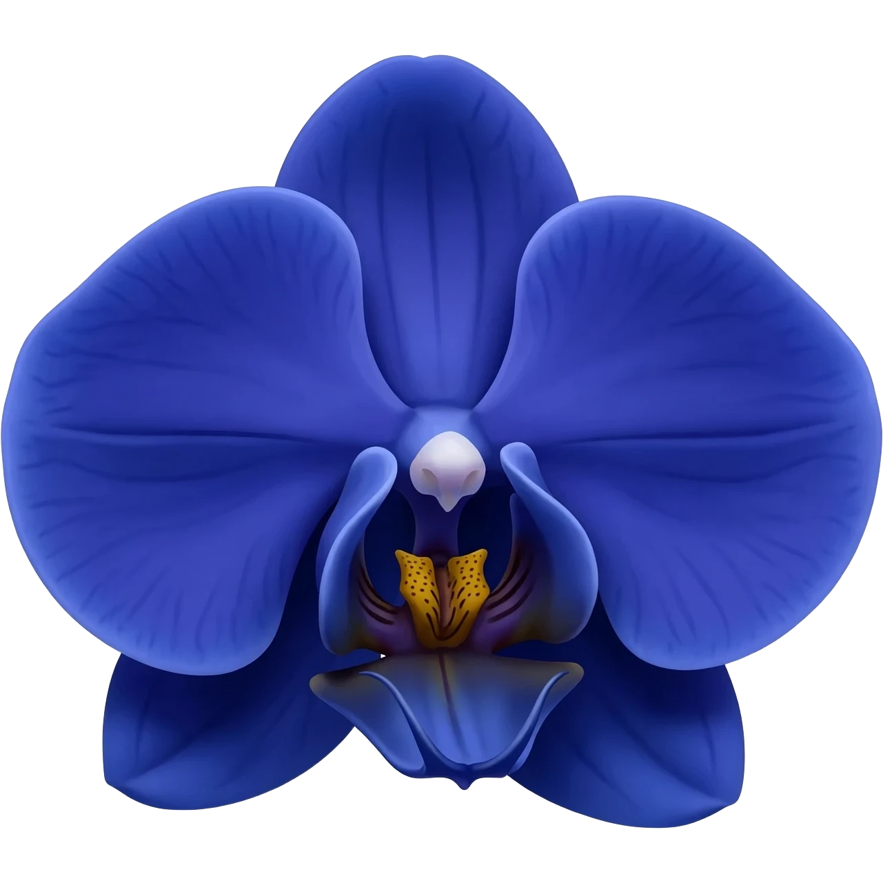 I said orchid (flower) in Navy Rich Royal Blue shade. No leaves. No other colors. emoji