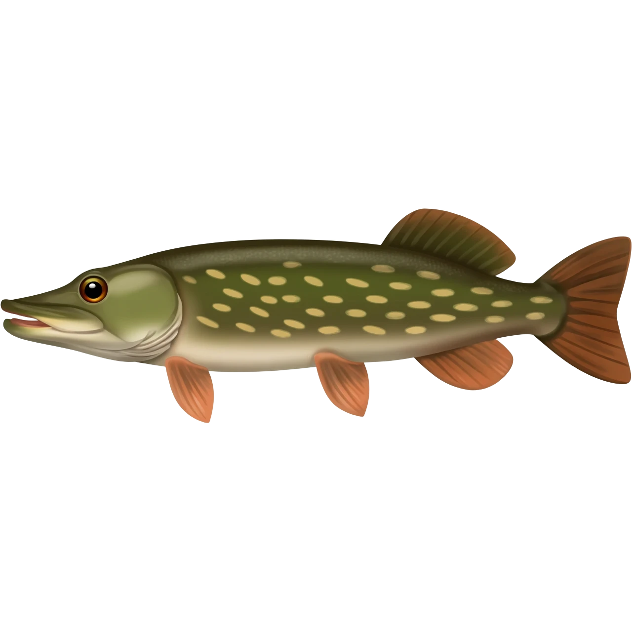 Northern pike emoji