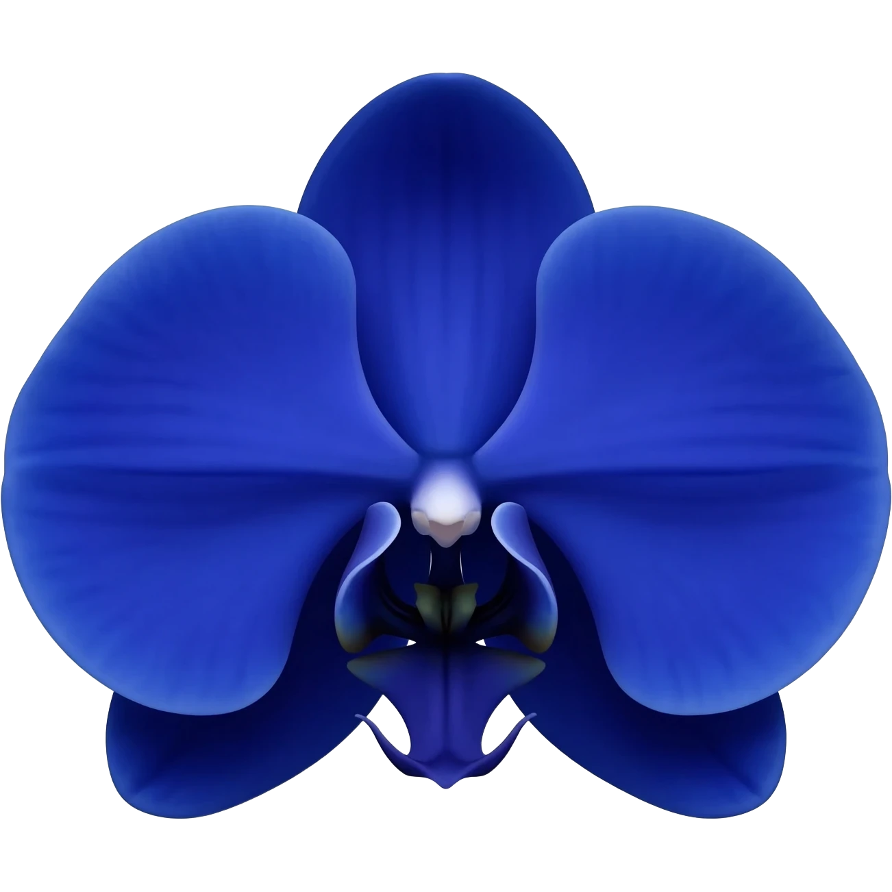 I said orchid (flower) in Navy Rich Royal Blue shade. No leaves. No other colors. emoji