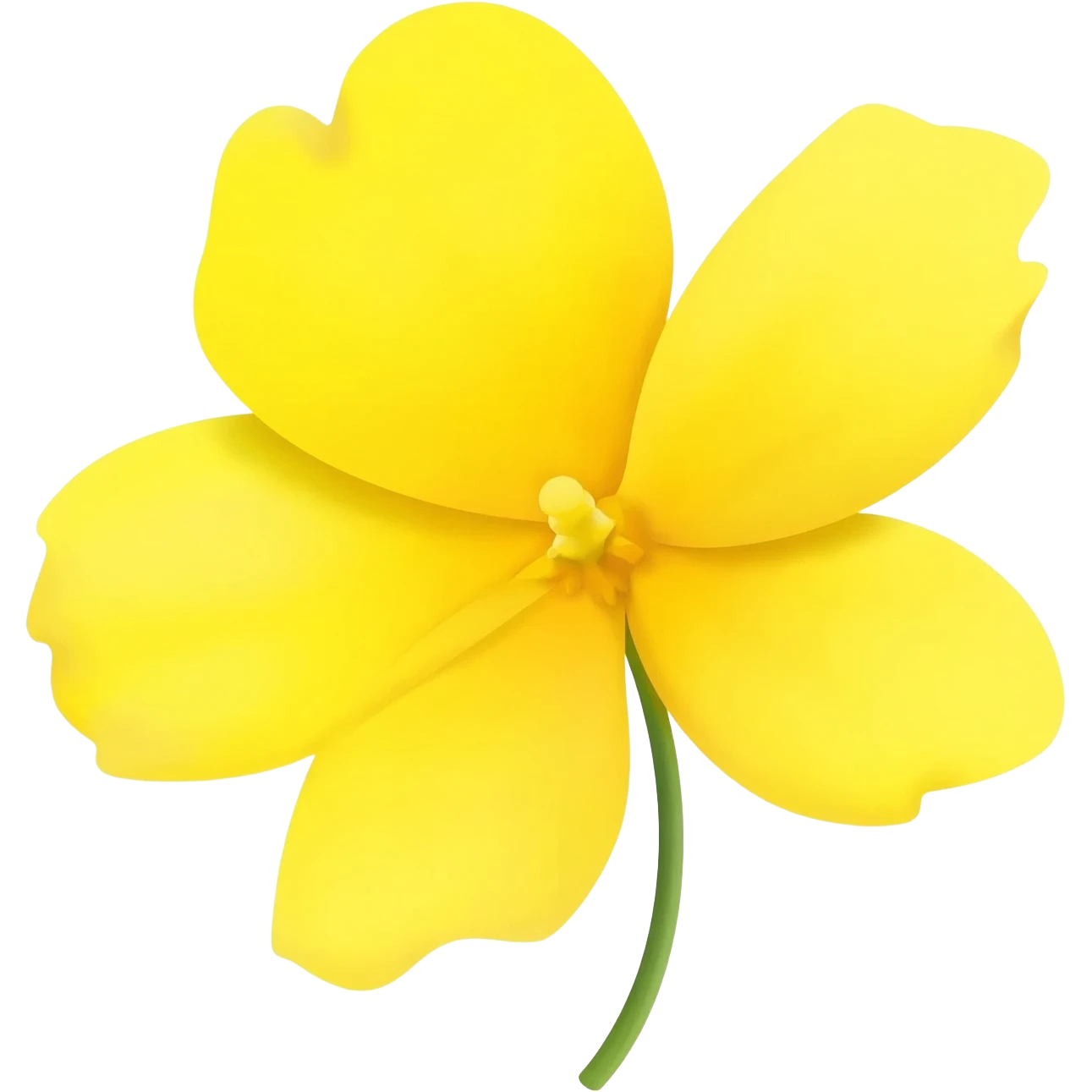 An mimosa flower emoji