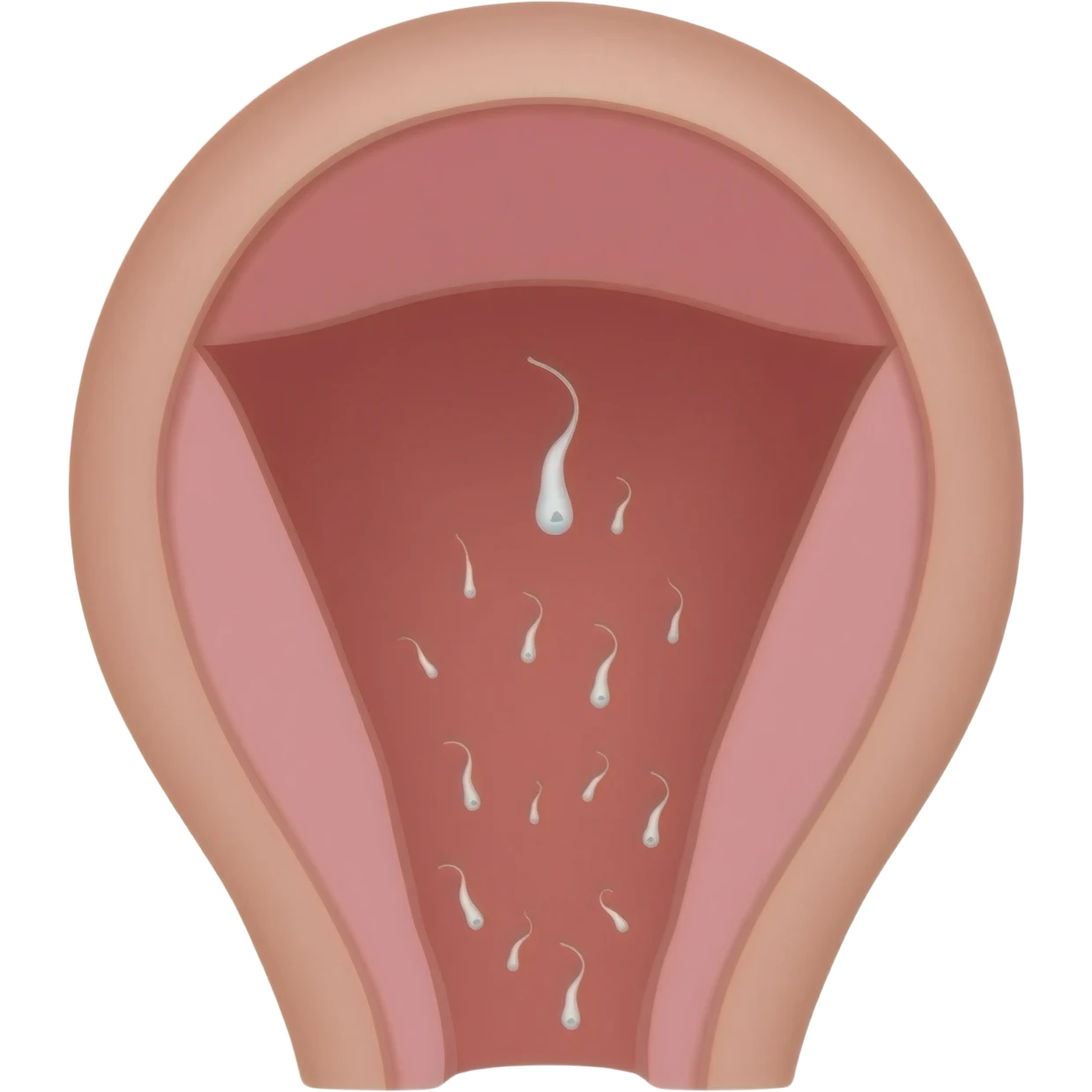 Creampie pussy emoji emoji