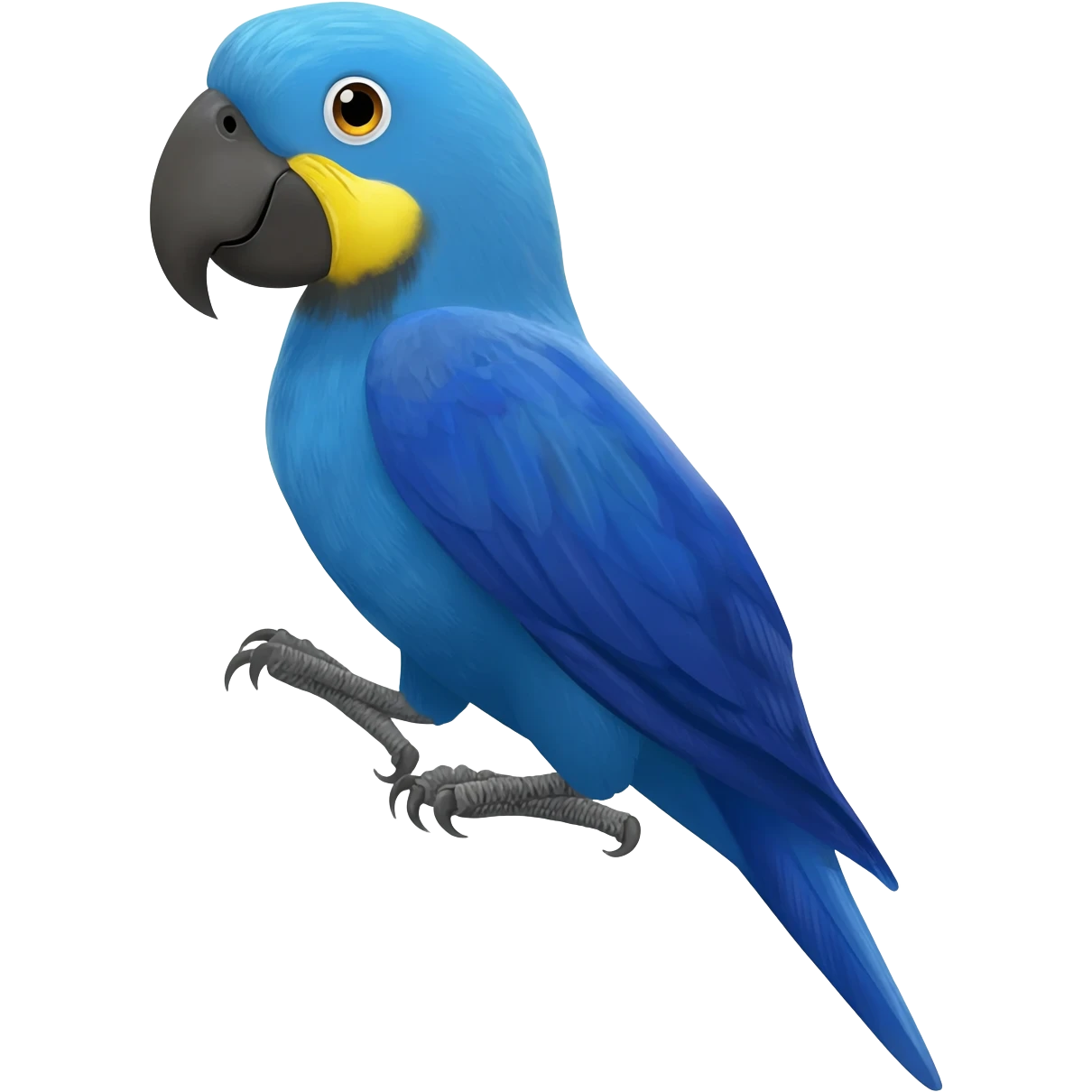 Emoji de arara azul emoji