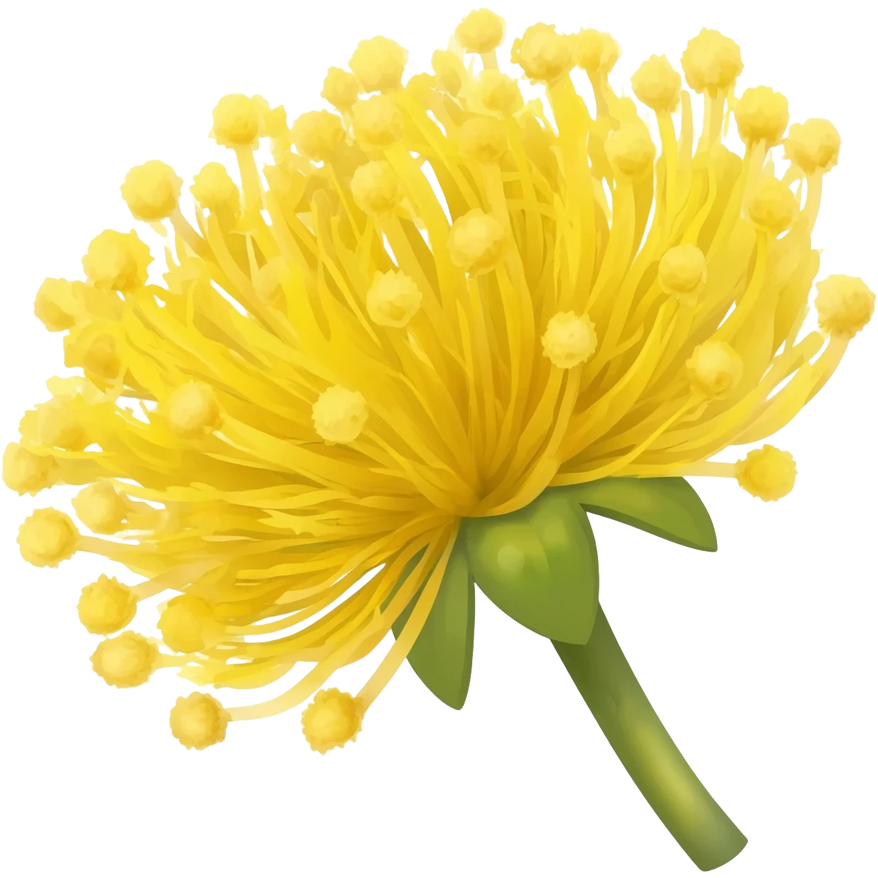 Fiore mimosa emoji