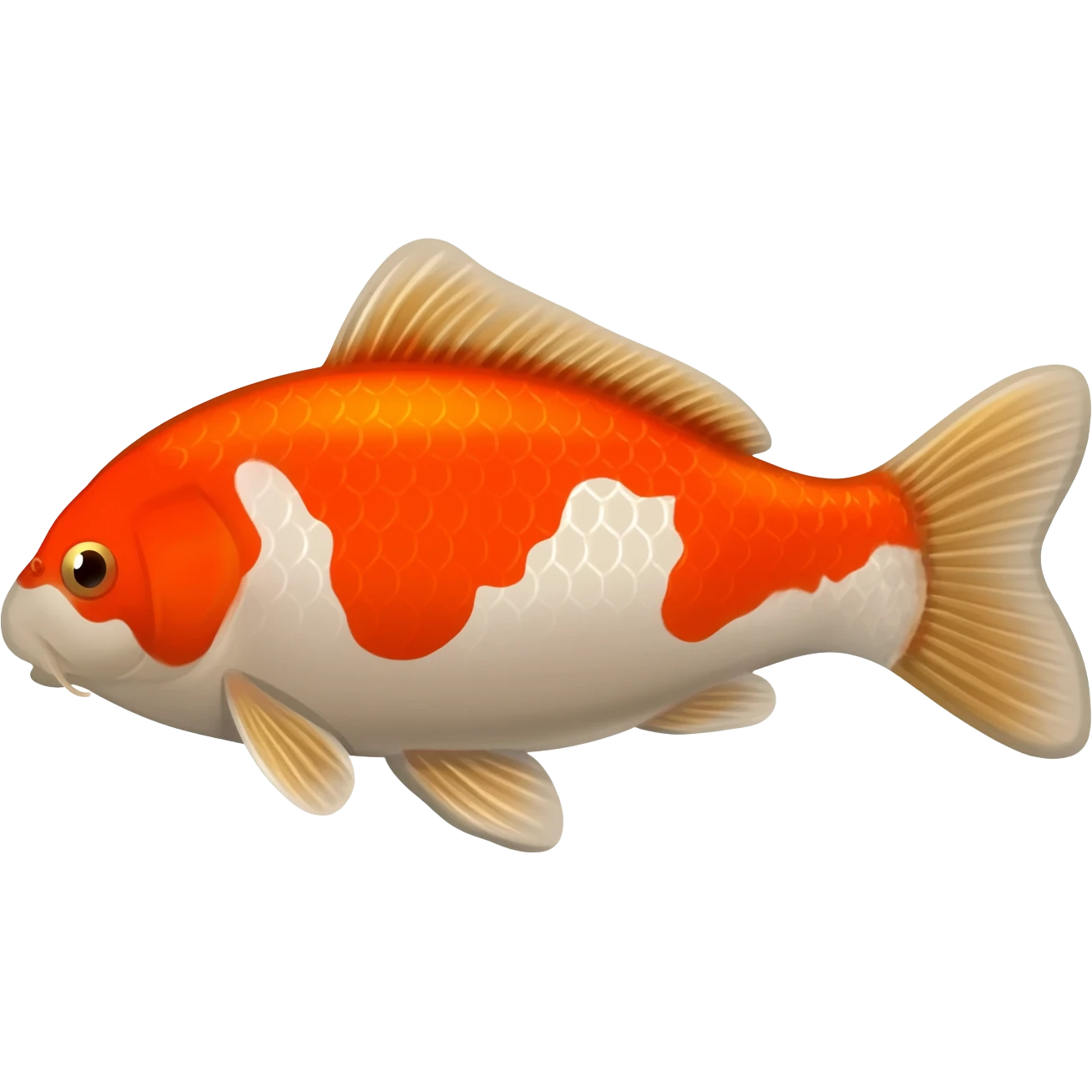 Koi Japanehse fish emoji