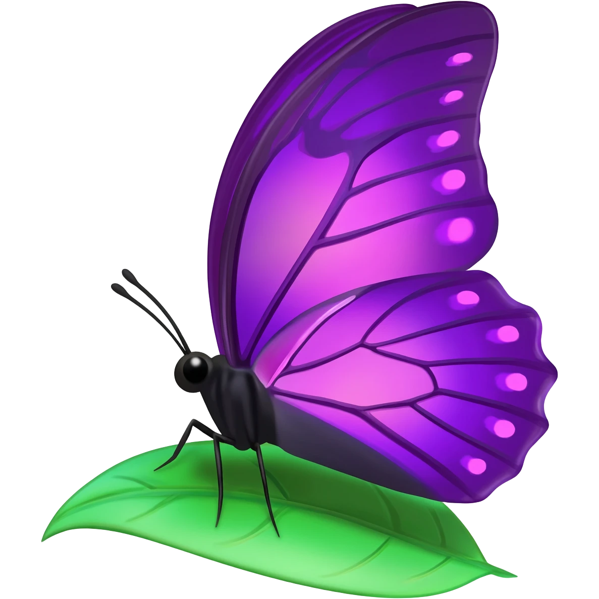 Purple butterfly emoji emoji
