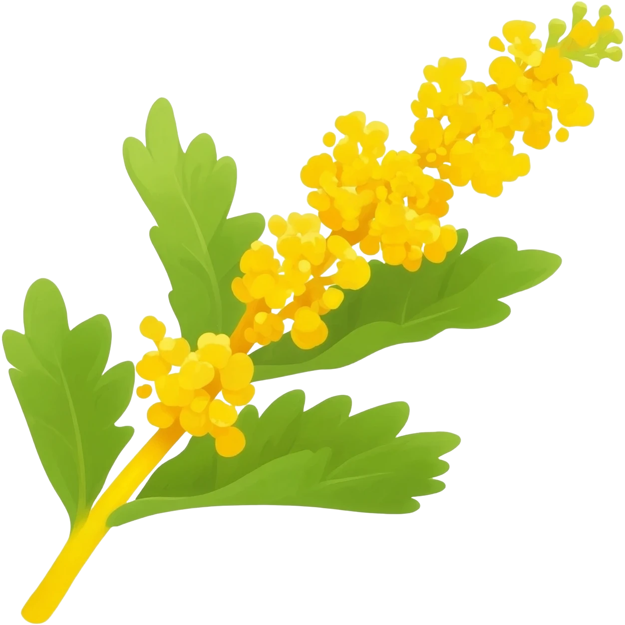 Gambo di mimosa gialla emoji