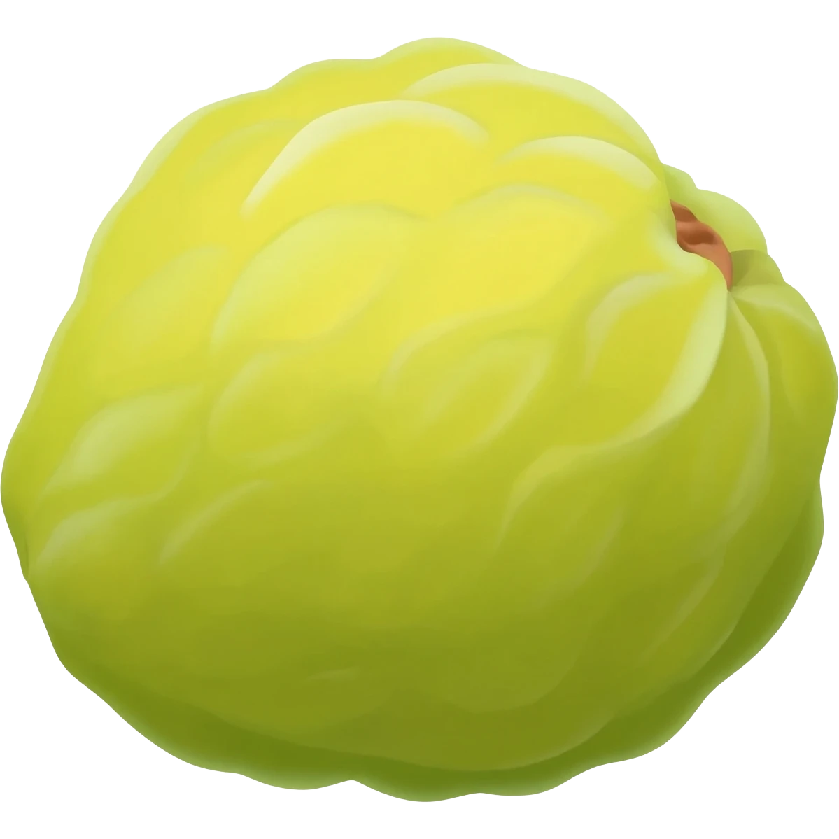 Chikoo fruit emoji emoji