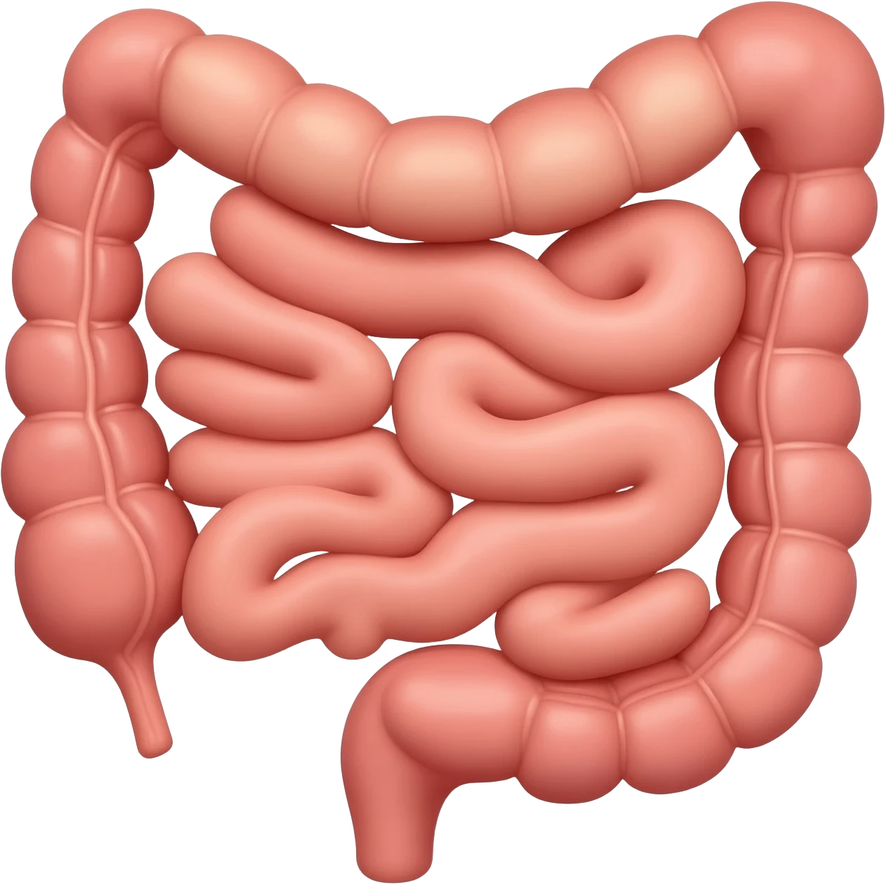 Intestinos emoji