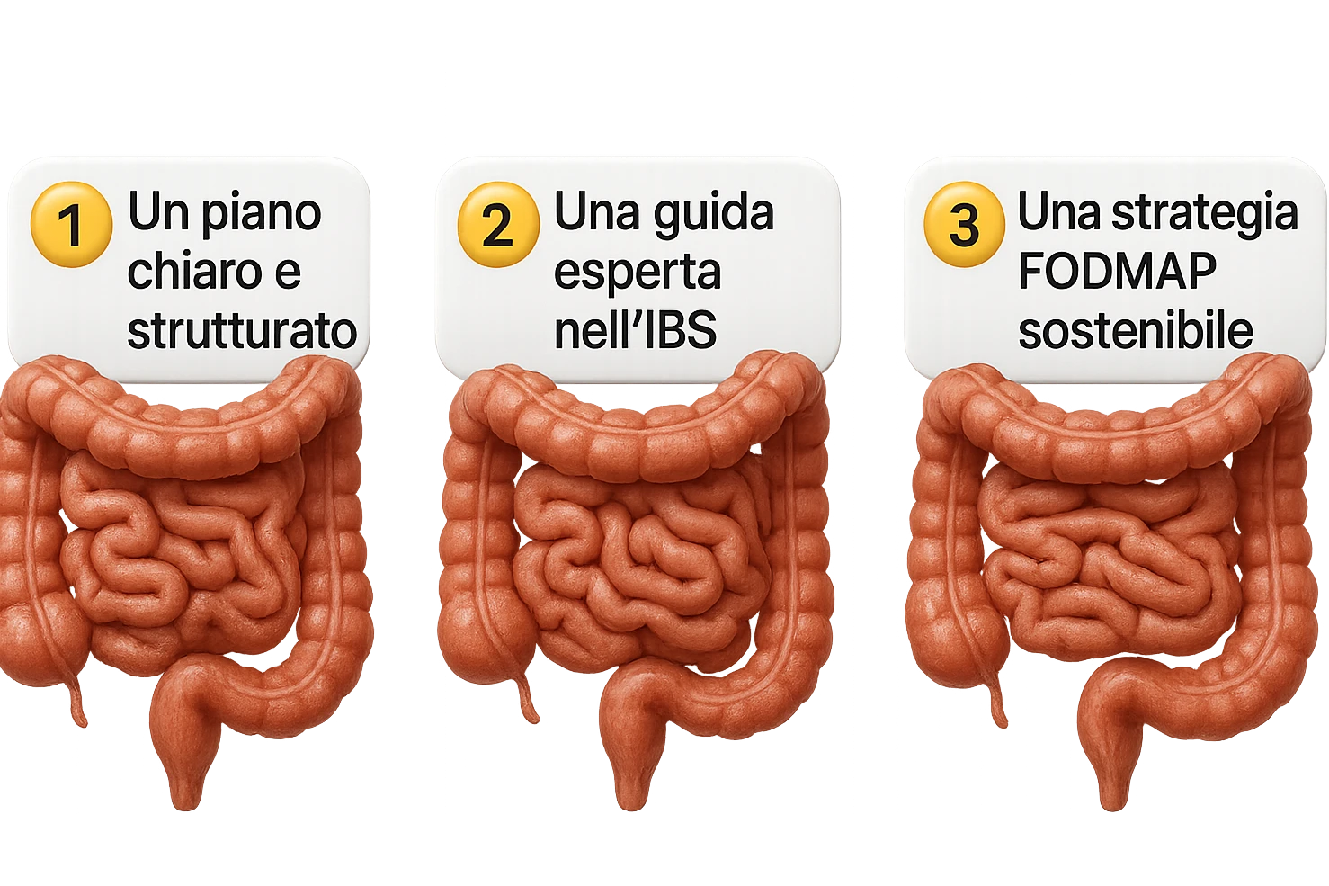 emoji stile iphone di 3 targhette numerate con intestino realistico davanti ad ogni targhetta, le targhette sono:
"1 – Un piano chiaro e strutturato
2 – Una guida esperta nell’IBS
3 – Una strategia FODMAP sostenibile"
, iperrealistico 4k emoji