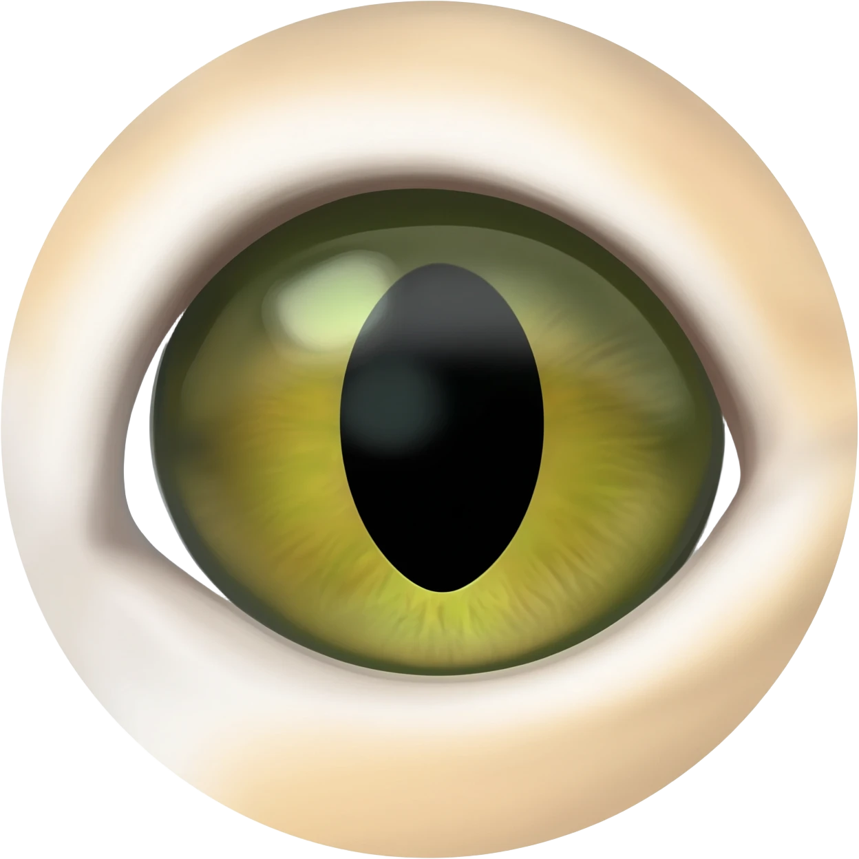 Realistic Cat-Reptile slit pupil eye in a circle  emoji