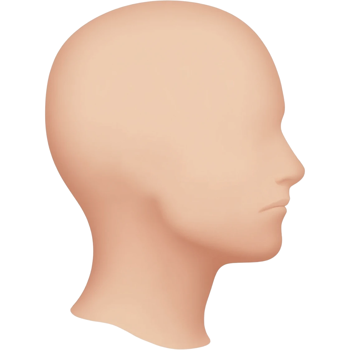 “Educational illustration of a human neck, simple anatomical drawing style, soft colors, white background, clear and clean design, educational children's style, ideal for a children's science book, showing the throat and the connection between the head and the torso.” emoji