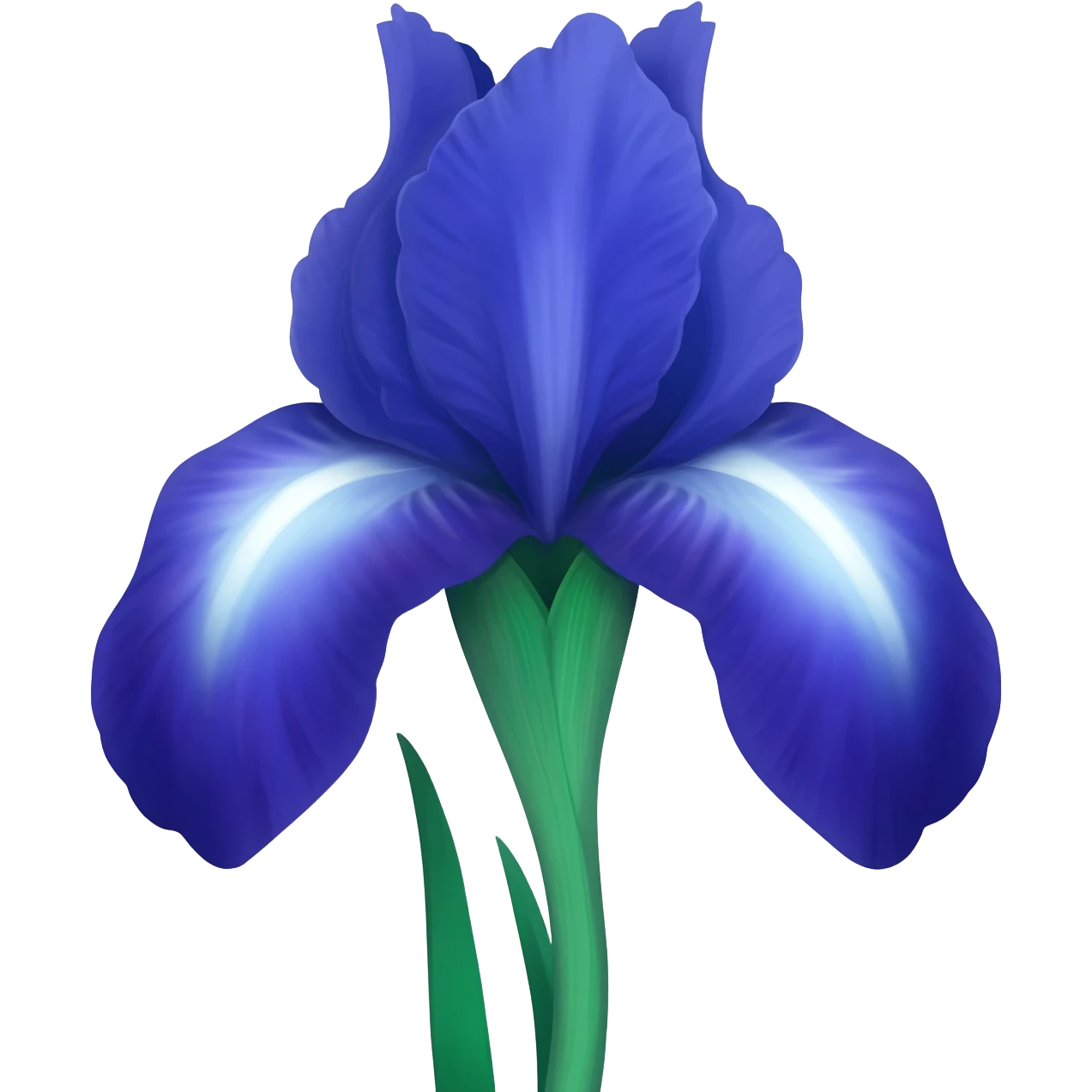 Iris flower dark and light Blue emoji