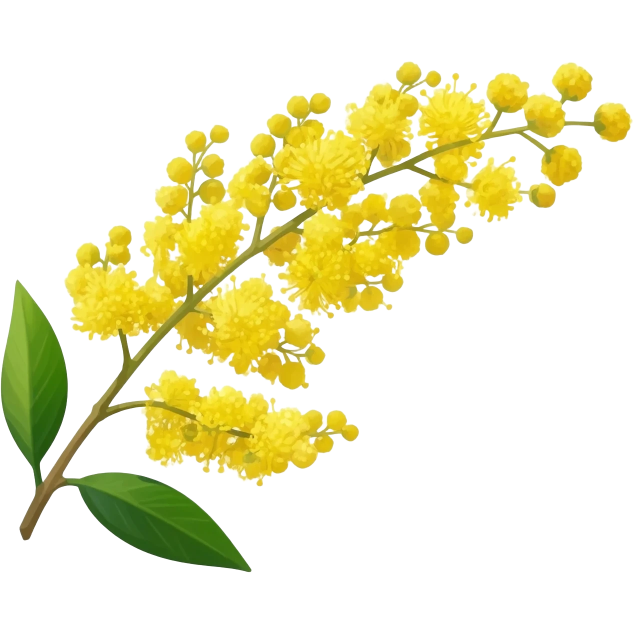 puoi creare un ramoscello di mimosa emoji