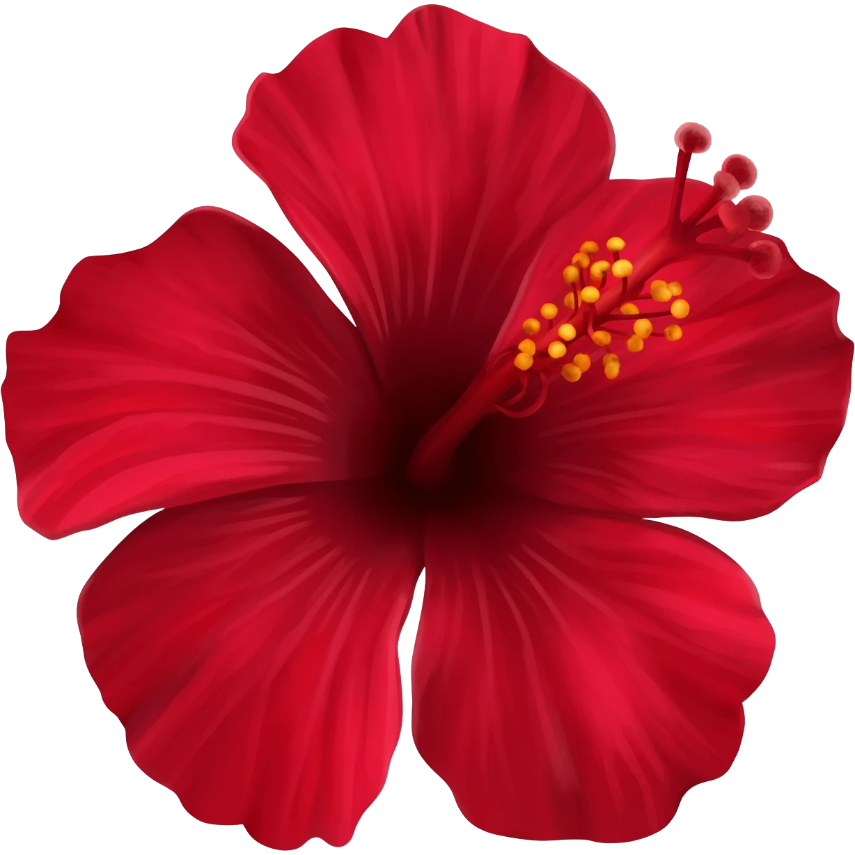 Dark red Hibiscus emoji