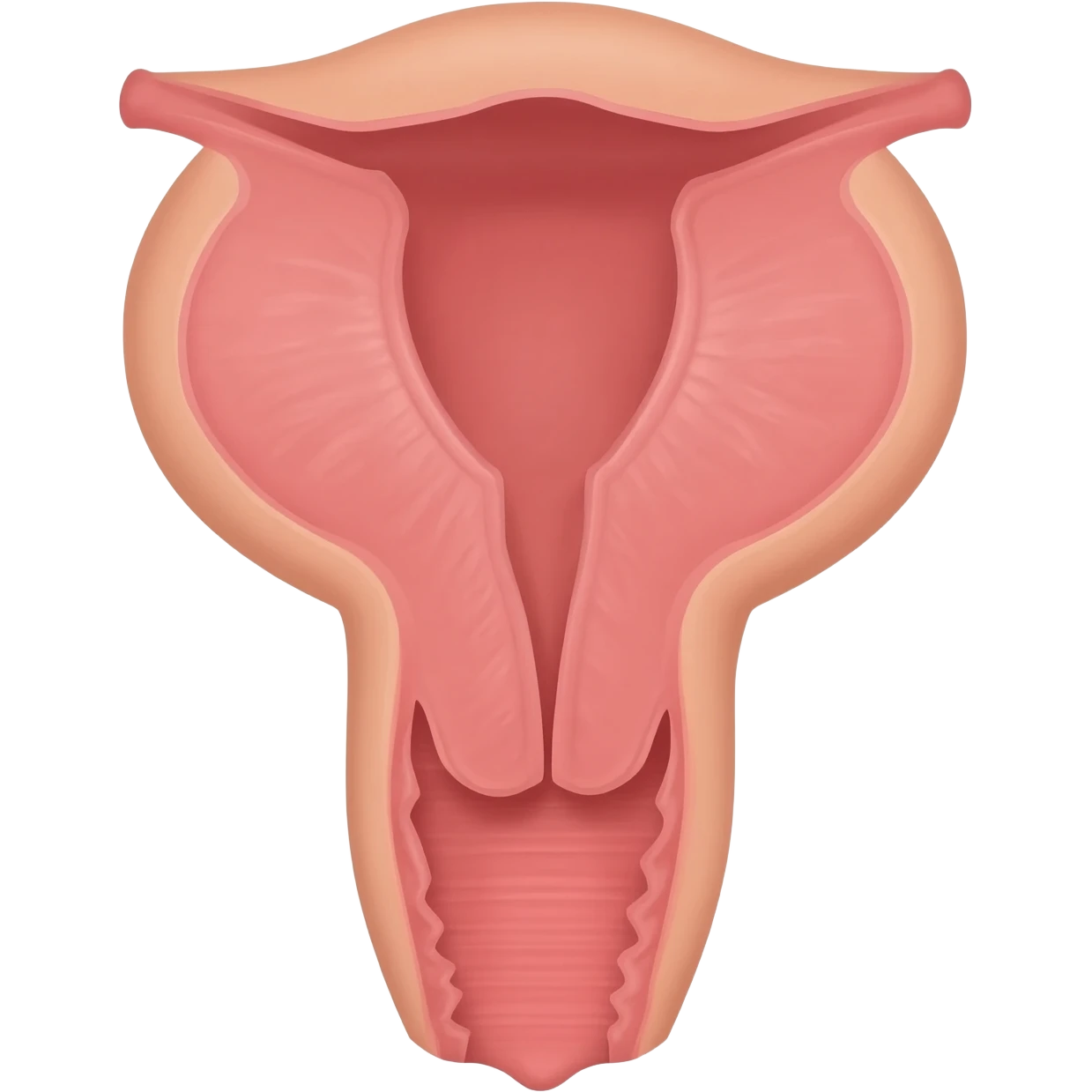 Creampie pussy emoji