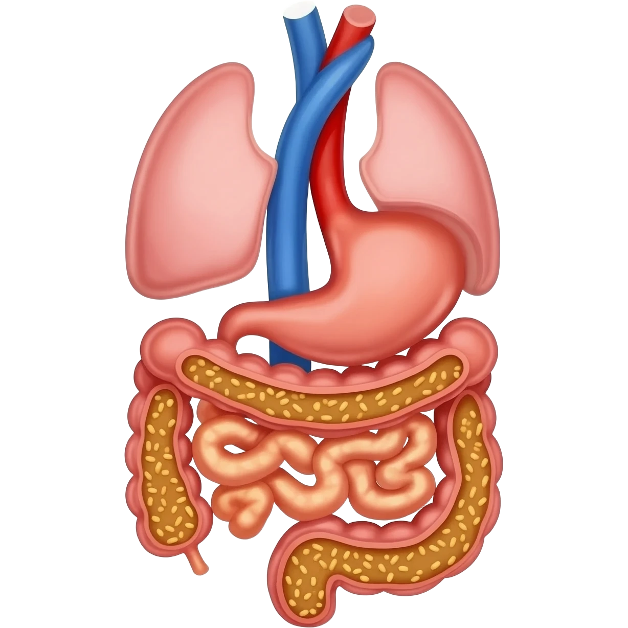 fisiopatología de nutricion emoji