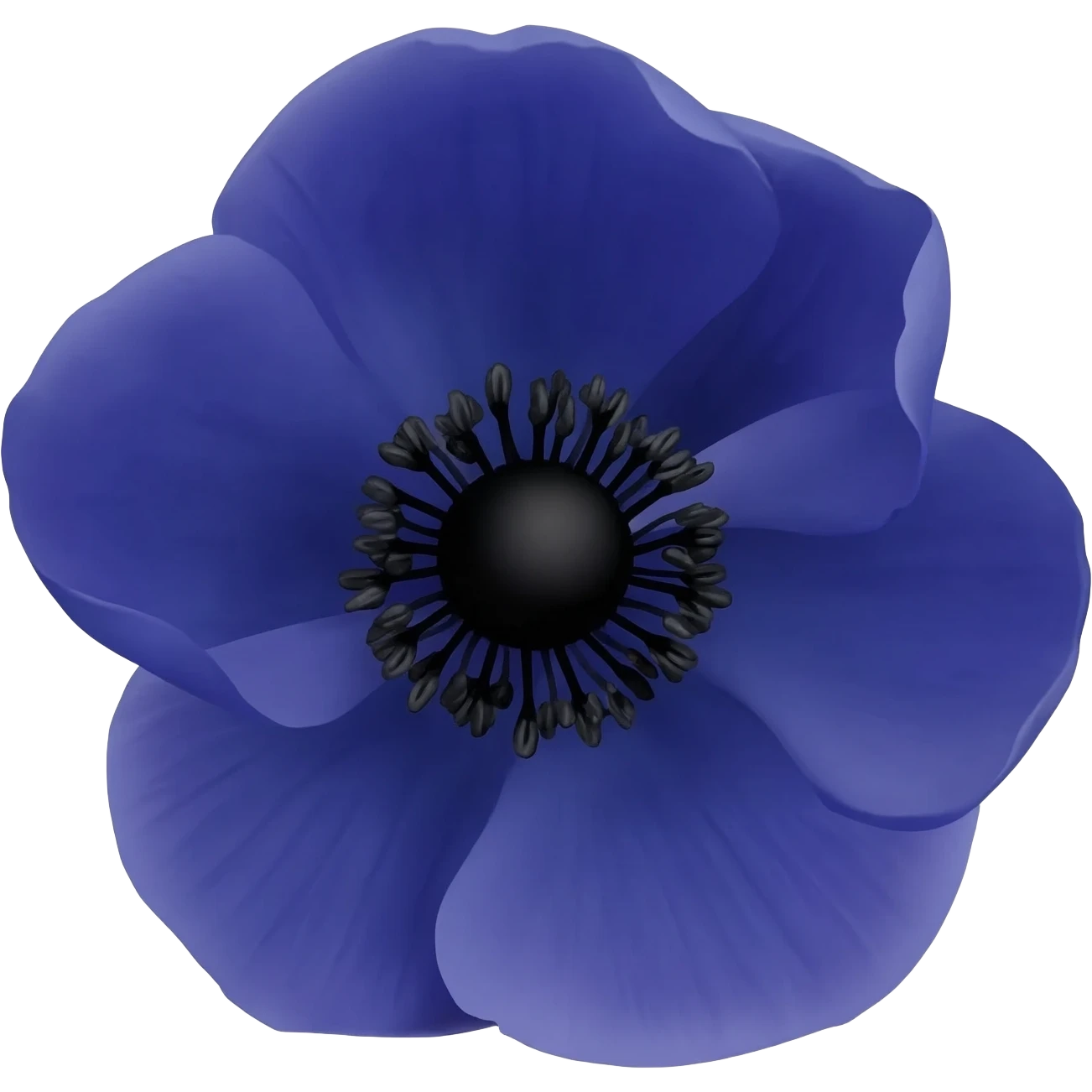 I said pasqueflower (Pulsatilla) in Navy Rich Royal Blue shade. No leaves. No other colors adding. Just black & blue emoji