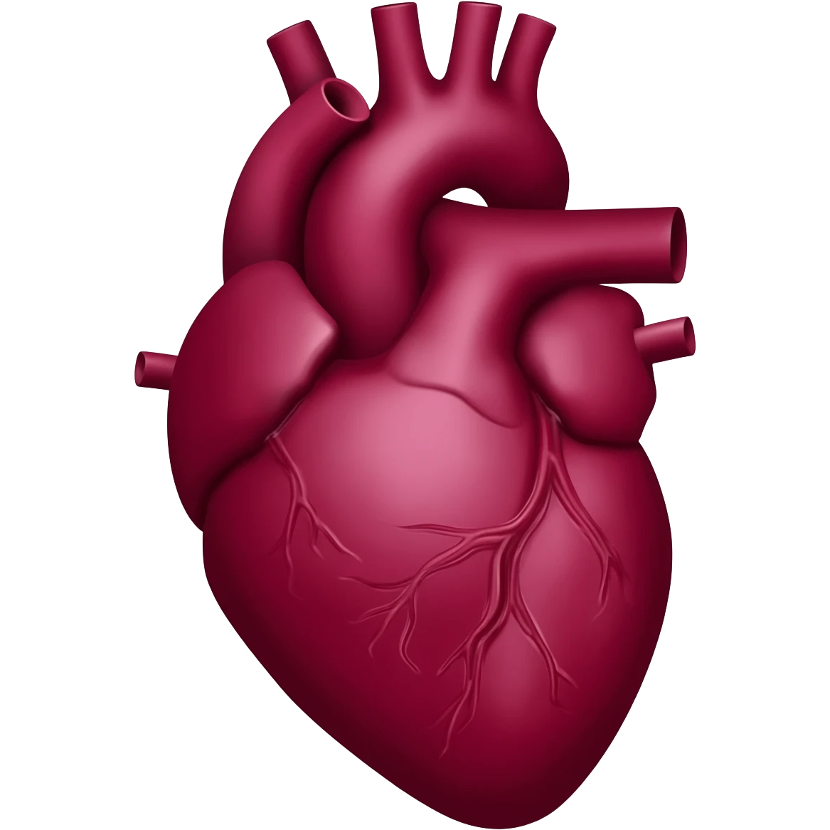 Burgundy anatomical heart  emoji