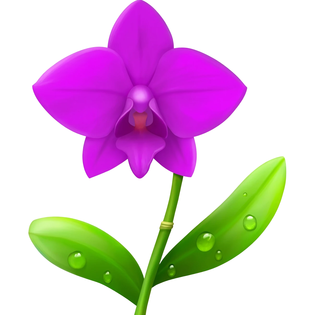 orchidea emoji