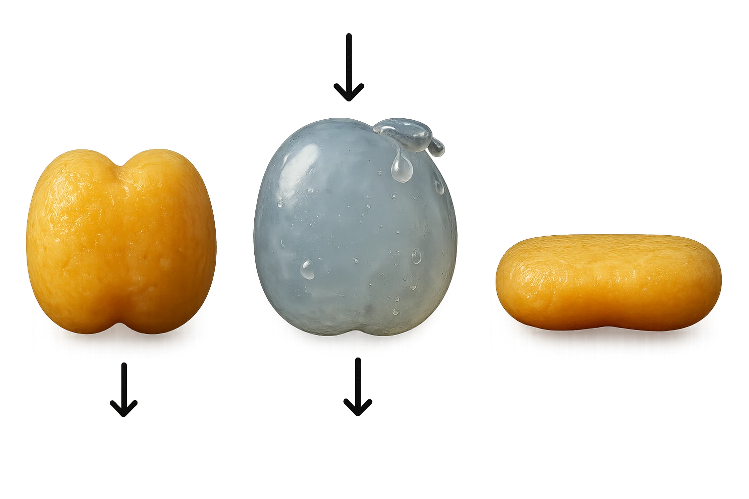 il processo di una cellula adiposa che si sgonfia, si gonfia di acqua e infine si appiattisce, 3d iperrealistica 4k emoji
