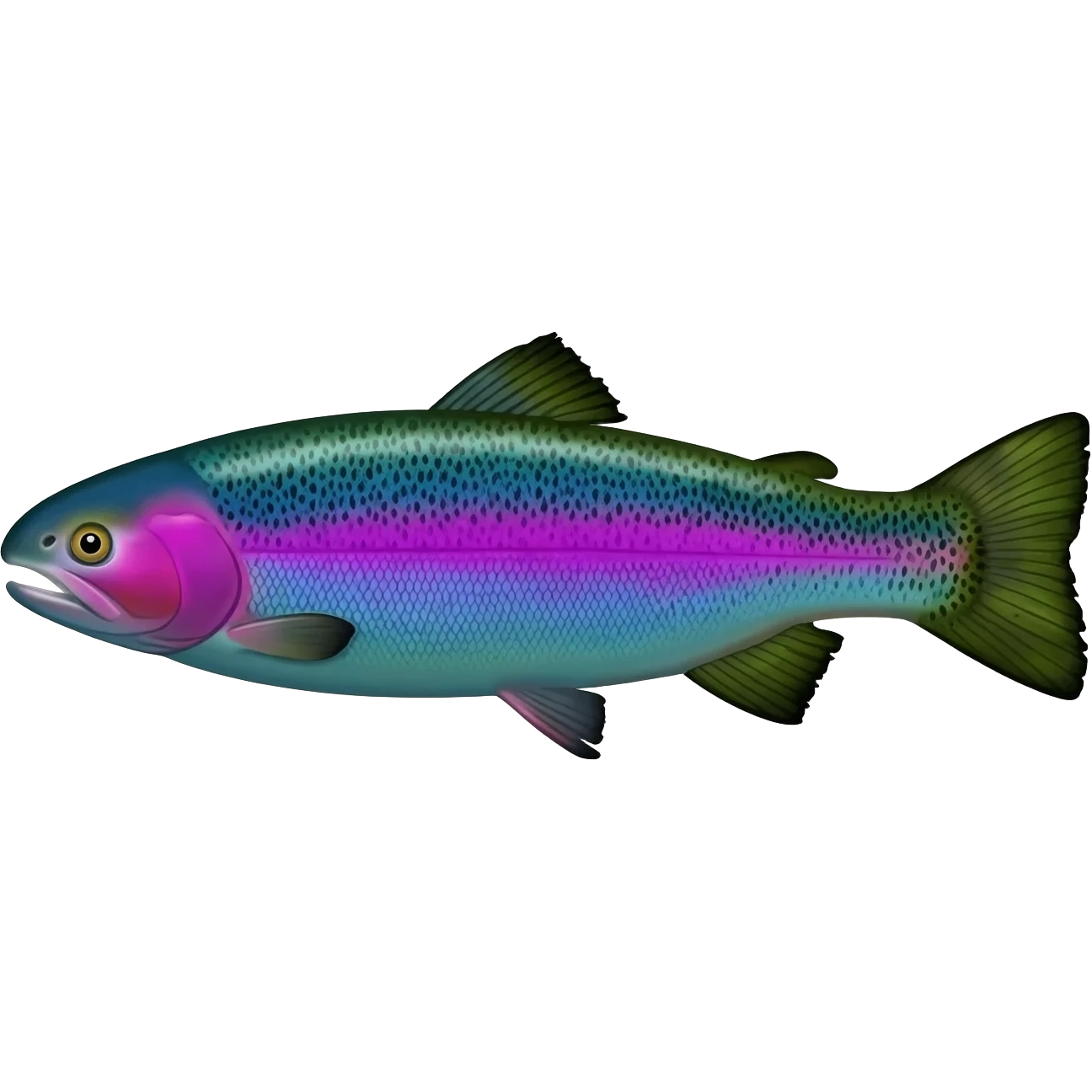 whole rainbow trout fish facing left bright purple blue green blue emoji