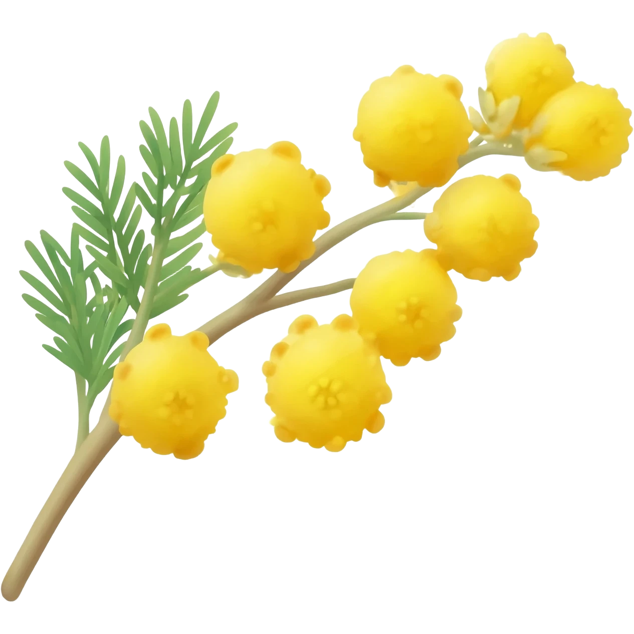 Rametto di mimosa emoji