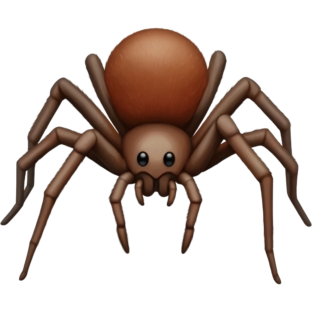 spider emoji